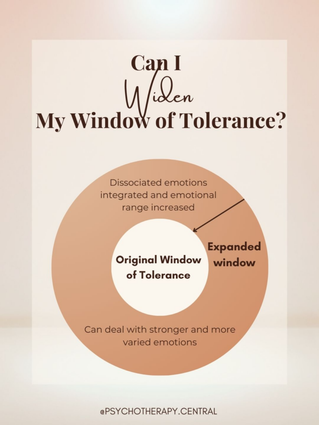 Illustration representing the concept of widening the window of tolerance for greater emotional resilience and nervous system regulation.