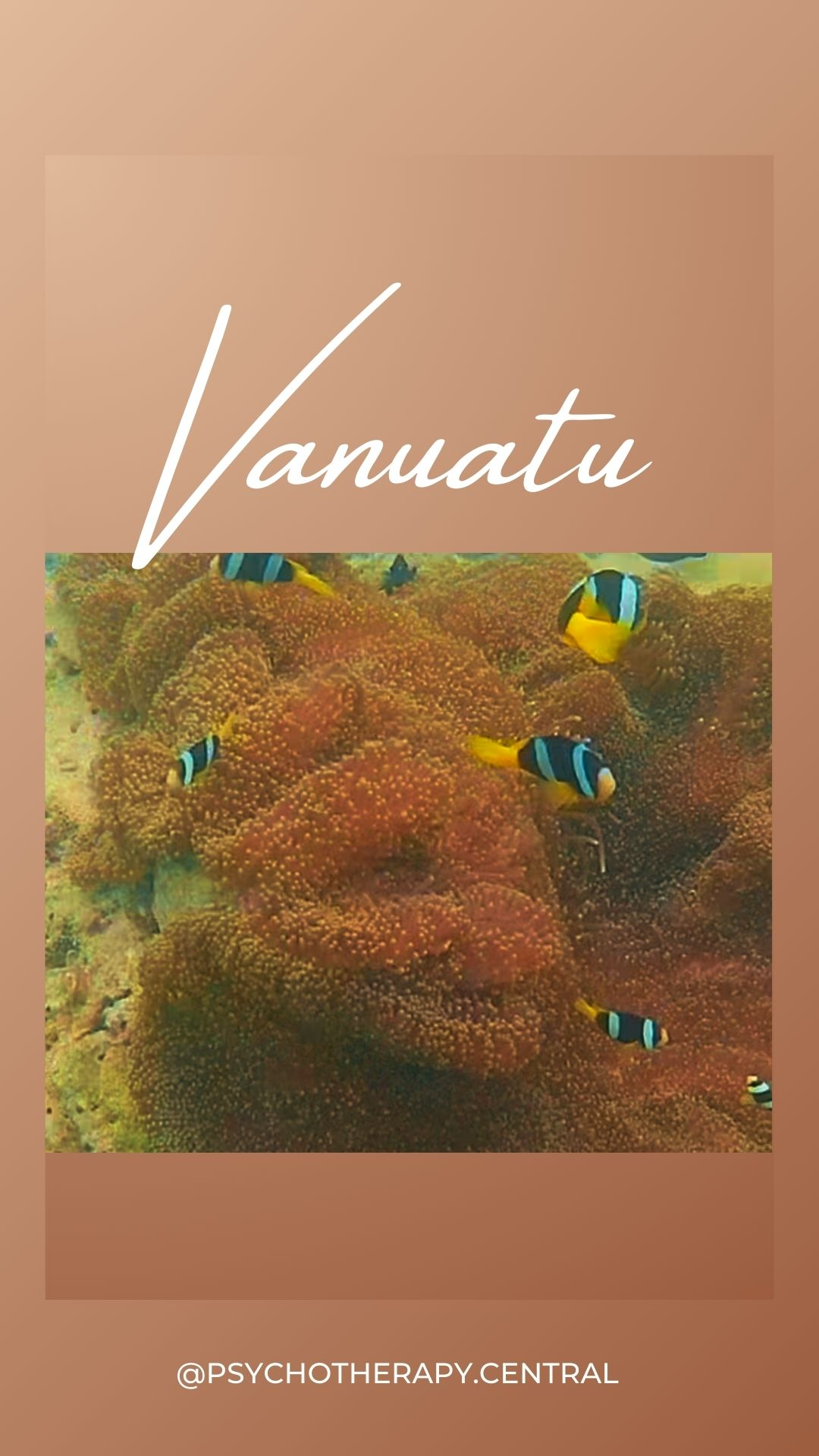 A peaceful scene from Vanuatu reflecting the beauty of slowing down — vibrant ocean life and island community.